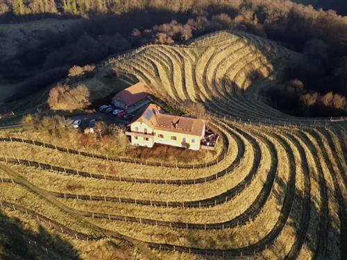 Sommerhus - 12 personer -  - Majski Vrh - 2284 - Ptuj