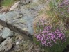 Bild 41 - Aussen