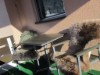 Image 5 - Outside