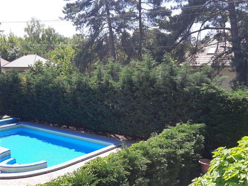 Ferielejlighed - 3 personer -  - Zamardi - 8621