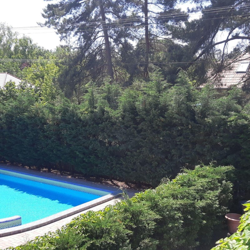 Ferielejlighed - 3 personer -  - 8621 - Zamardi
