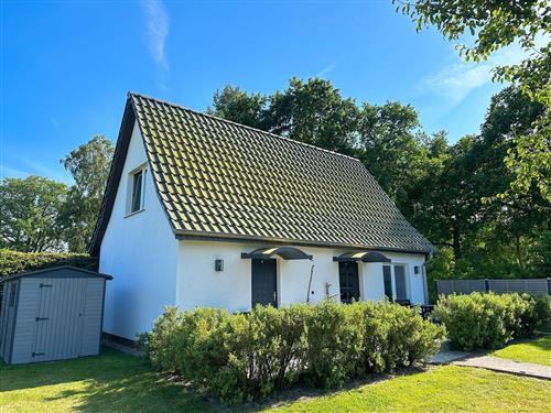 Ferieleilighet - 5 personer -  - Müritzer Straße - 18311 - Ribnitz-Damgarten