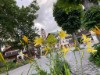 Bild 19
