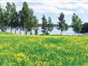 Bild 22