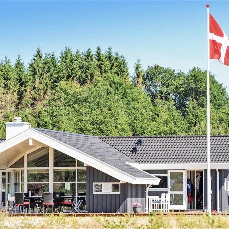Ferienhaus - 6 Personen -  - Rørbækvej - Rörbäk See - 7361 - Ejstrupholm