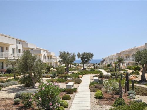 Ferielejlighed - 4 personer -  - C.da Calafarina SP - 96018 - Marzamemi