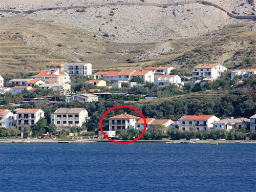 Holiday apartment - 6 persons -  - Ante Starcevica - 23250 - Pag
