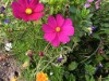 Bild 20