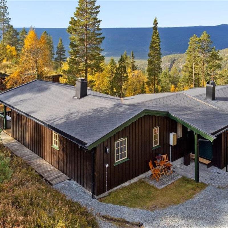 Sommerhus - 9 personer -  - Røsslyngen - Renåfjellet, Rendalen - 2485 - Rendalen