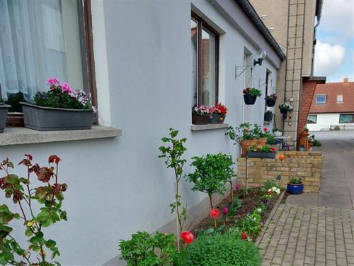 Ferienwohnung - 1 Person -  - Greifswalder Chaussee - 18439 - Stralsund