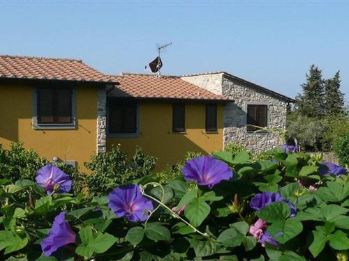 Holiday Home/Apartment - 4 persons -  - 57022 - Castagneto Carducci