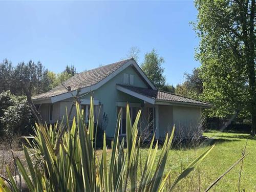 Ferienwohnung - 6 Personen -  - 33990 - Hourtin