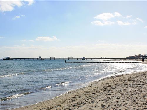 Holiday apartment - 4 persons -  - Drosselgang - 23746 - Kellenhusen