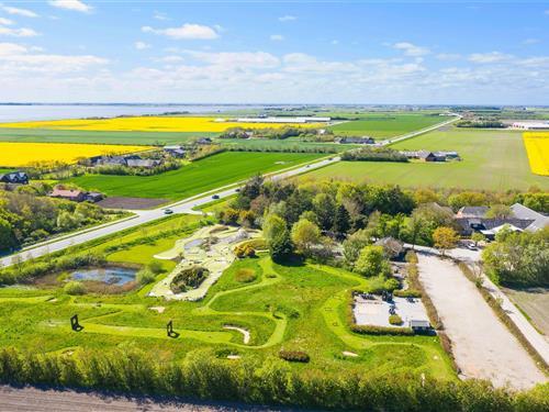 Sommerhus - 24 personer -  - Søtangevej 1 Nr. - Holmsland - 6950 - Ringkøbing