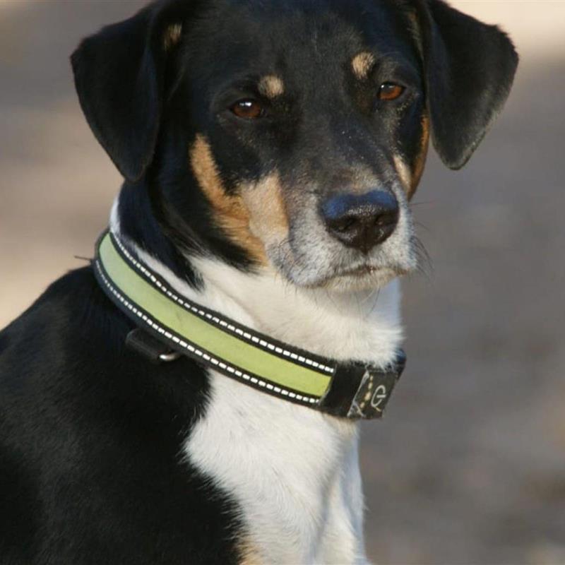  - 2 personer -  - Dorfstraße - 29640 - Schneverdingen