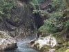 Billede 33
