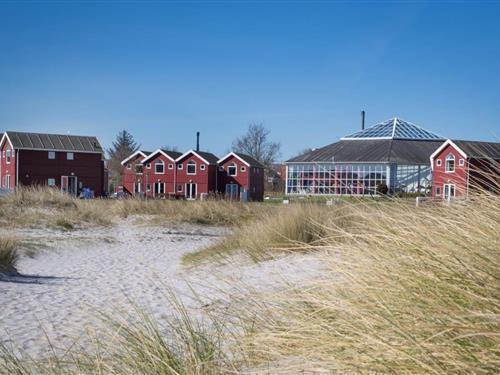 Feriecenter Øster Hurup - Feriehus - 4+2 personer - HAVUDSIGT - 64 m², 3 vær