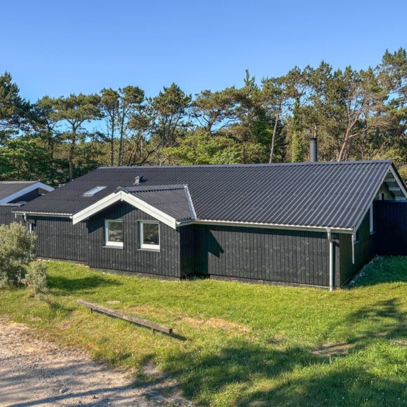 Ferienhaus - 6 Personen -  - Blåmunkevej - Vorupör - 7700 - Thisted