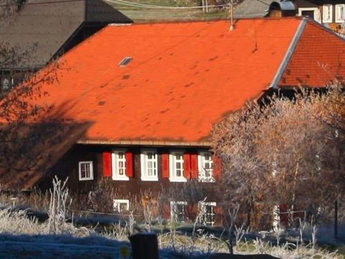 Sommerhus - 14 personer -  - 79872 - Bernau