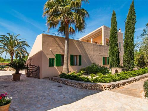 Ferielejlighed - 2 personer -  - Diseminado Tercera Volta - Son Capellot Tres, Felanitx - 07200 - Felanitx