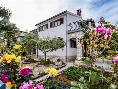 Ferieleilighet - 4 personer -  - Laco Sercio - 52210 - Rovinj