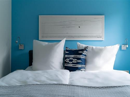 Ferielejlighed - 3 personer -  - Zwischen den Kiefern - 18347 - Dierhagen