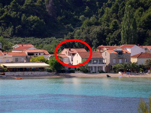 Ferielejlighed - 3 personer -  - Kraj - 20247 - Zuljana