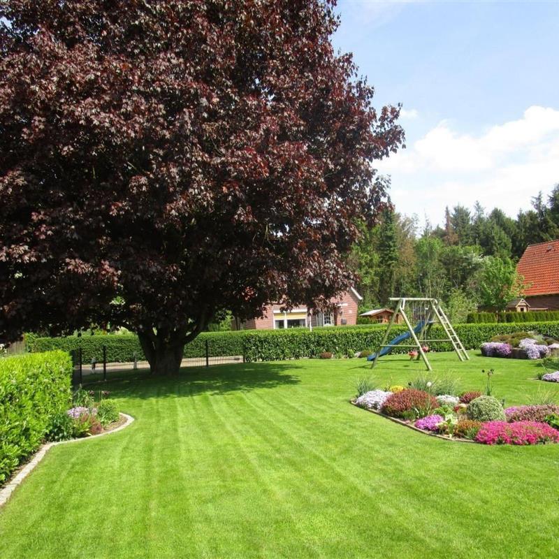 Ferielejlighed - 4 personer -  - Wischhafen - 21737