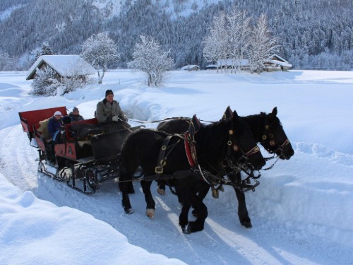 Ferielejlighed - 4 personer -  - Dorf - 5092 - Sankt Martin