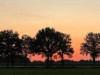Billede 25