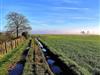 Afbeelding 58