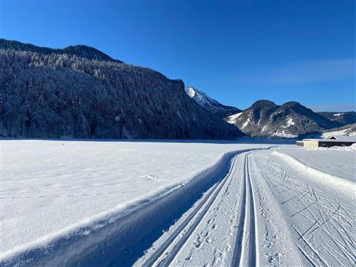 Ferieleilighet - 2 personer -  - Unterdorf - 6874 - Bizau