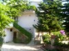 Bild 11