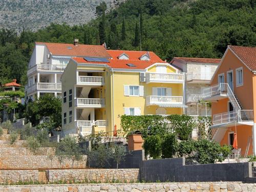 Ferieleilighet - 3 personer -  - Put Jasenja - 20232 - Slano