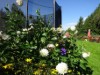 Bilde 4