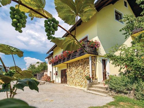 Ferieleilighet - 5 personer -  - Homer - Gorski Kotar-Lokve - 51316 - Lokve