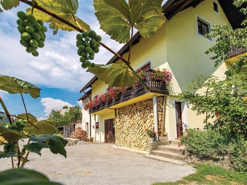 Ferielejlighed - 5 personer -  - Homer - Gorski Kotar-Lokve - 51316 - Lokve