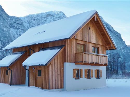 Holiday Home/Apartment - 4 persons -  - 4831 - Obertraun