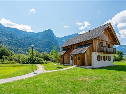 Ferielejlighed - 4 personer -  - 4831 - Obertraun