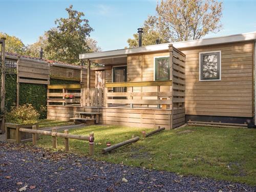 Sommerhus - 4 personer -  - Vogels´ Tún - 8851 HV - Tzummarum