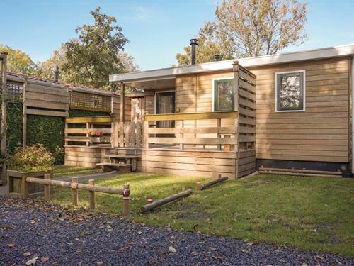 Holiday home - 4 persons -  - Vogels´ Tún - 8851 HV - Tzummarum