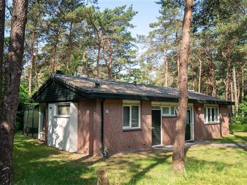 Sommerhus - 8 personer -  - 3881SE - Putten