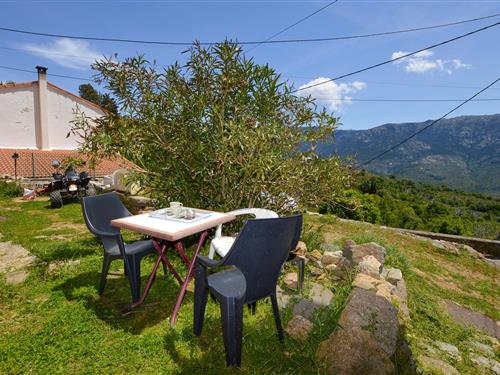 Ferielejlighed - 2 personer -  - Lozzi - 20224 - Lozzi