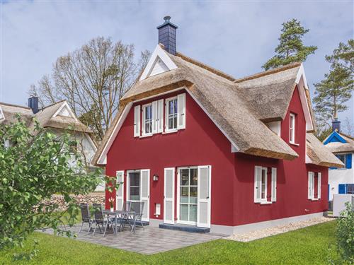 Feriehus - 4 personer -  - Am Kiefernwald - 17419 - Zirchow