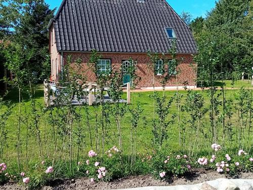 Ferielejlighed - 4 personer -  - Sanghughwai - 25946 - Nebel/Amrum