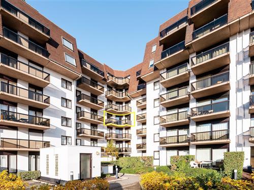 Semesterlägenhet - 4 personer -  - 8670 - Koksijde