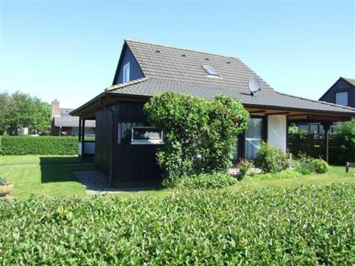 Sommerhus - 6 personer -  - Norderpiep - 25718 - Friedrichskoog / Spitze