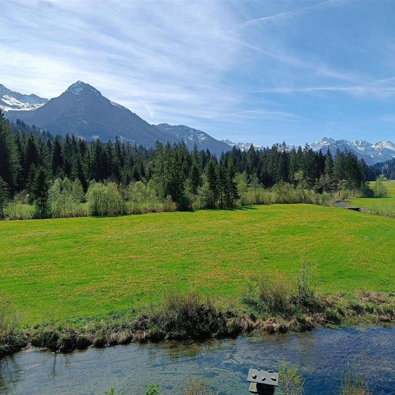 Ferielejlighed - 2 personer -  - Auf der Insel - 87538 - Fischen