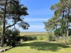 Bilde 5 - Ude