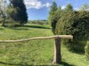 Billede 4